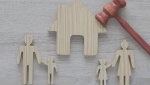 Cedar Rapids Joint Custody Lawyers