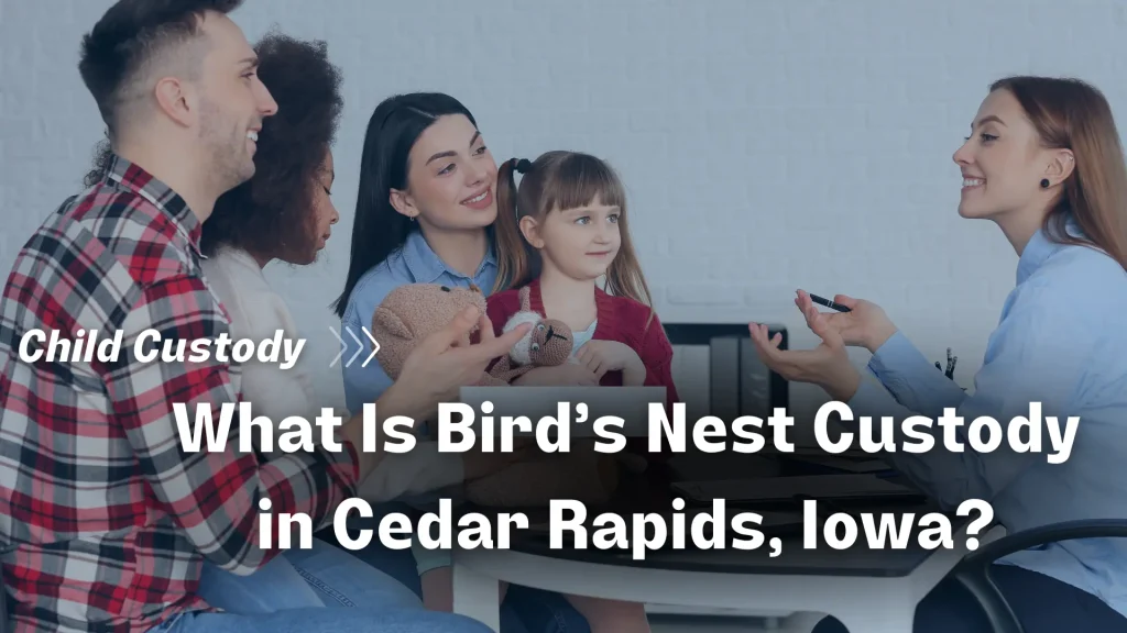 What Is Bird’s Nest Custody in Cedar Rapids, Iowa_ Image